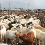 Le parc à bétail d'Adjamé déjà opérationnel