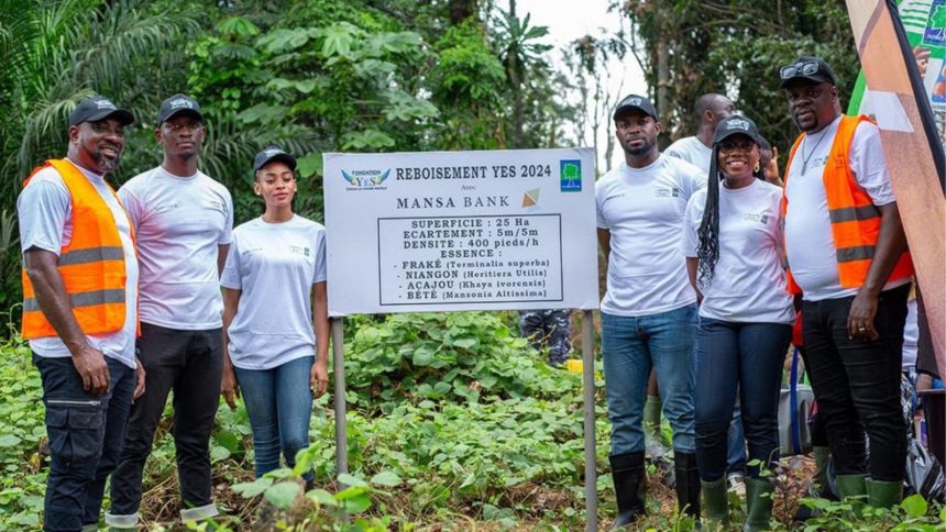 Les membres de la Fondation YeS et de MANSA BANK lors de ce planting d'arbre