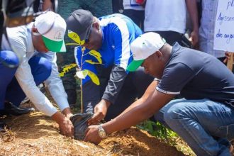 Des membres de l'AEEMCI plantant un arbre