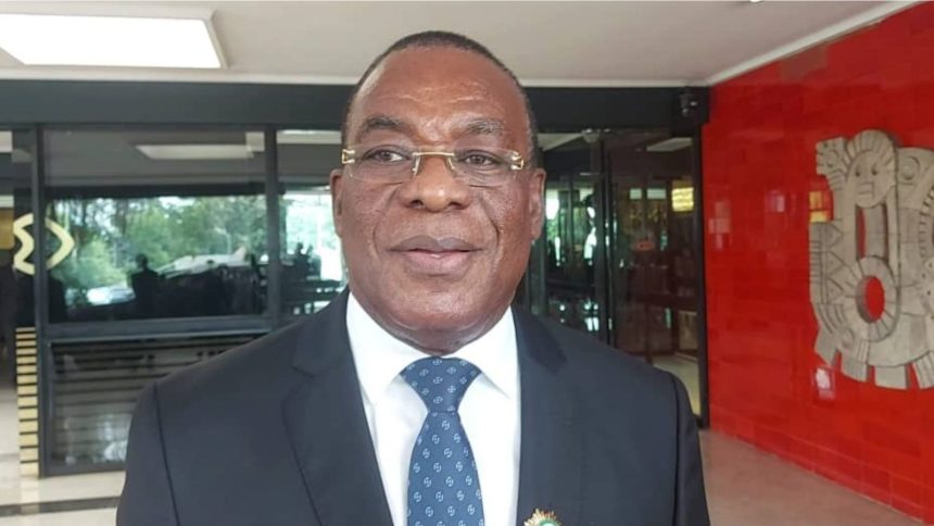 Pascal Affi N'guessan, président du FPI