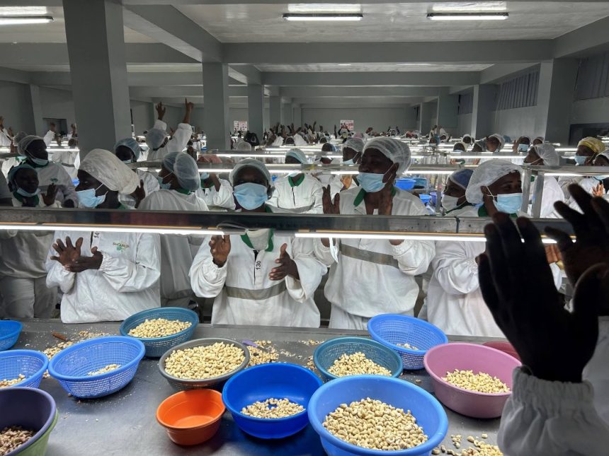 Les travailleurs de l'unité d'Odienné