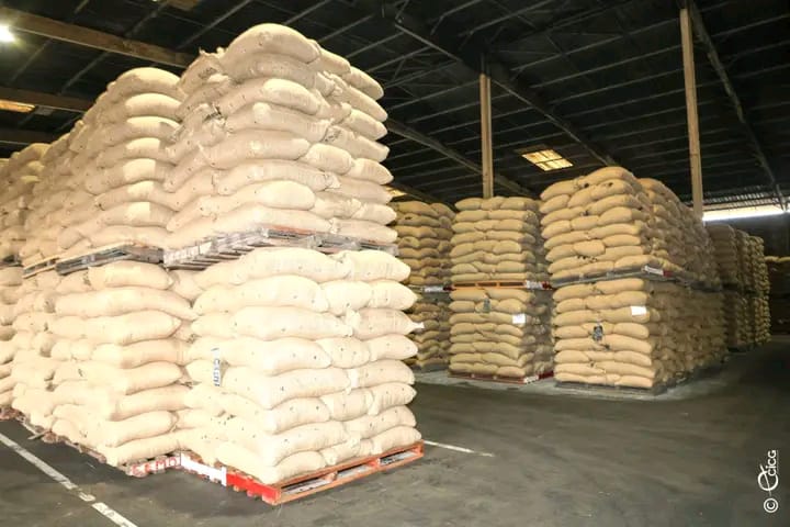 Des produits d'exportation