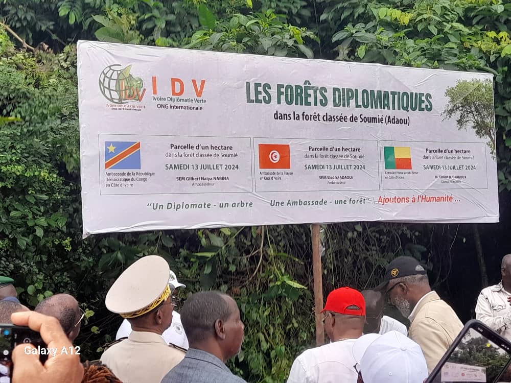 La forêt diplomatique