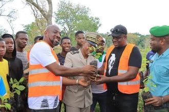 La Fondation YeS engagé pour le couvert forestier