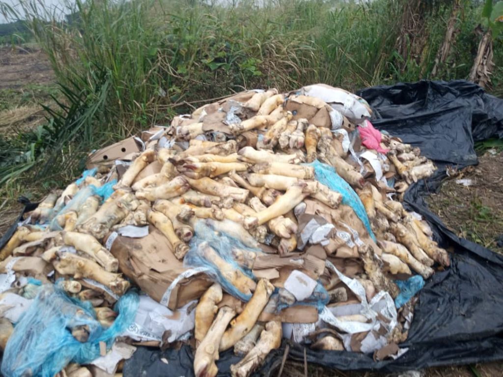 Des pattes de bœufs avariées