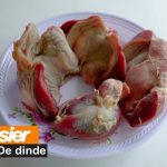 Dinde Ivoire Tour : quand la dinde s’invite au cœur d’une nouvelle vision alimentaire ivoirienne