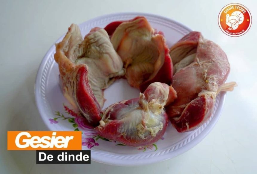 Dinde Ivoire Tour : quand la dinde s’invite au cœur d’une nouvelle vision alimentaire ivoirienne