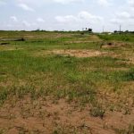 Côte d’Ivoire : la MUTADAFP affirme avoir perdu plus de 4 milliards FCFA dans un projet d’acquisition de terrains