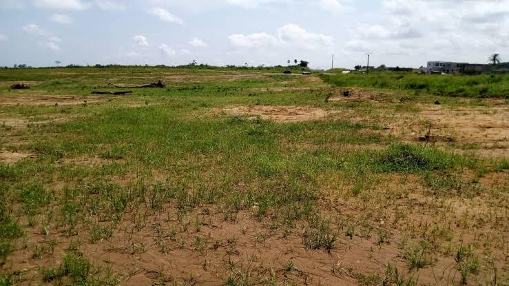Côte d’Ivoire : la MUTADAFP affirme avoir perdu plus de 4 milliards FCFA dans un projet d’acquisition de terrains